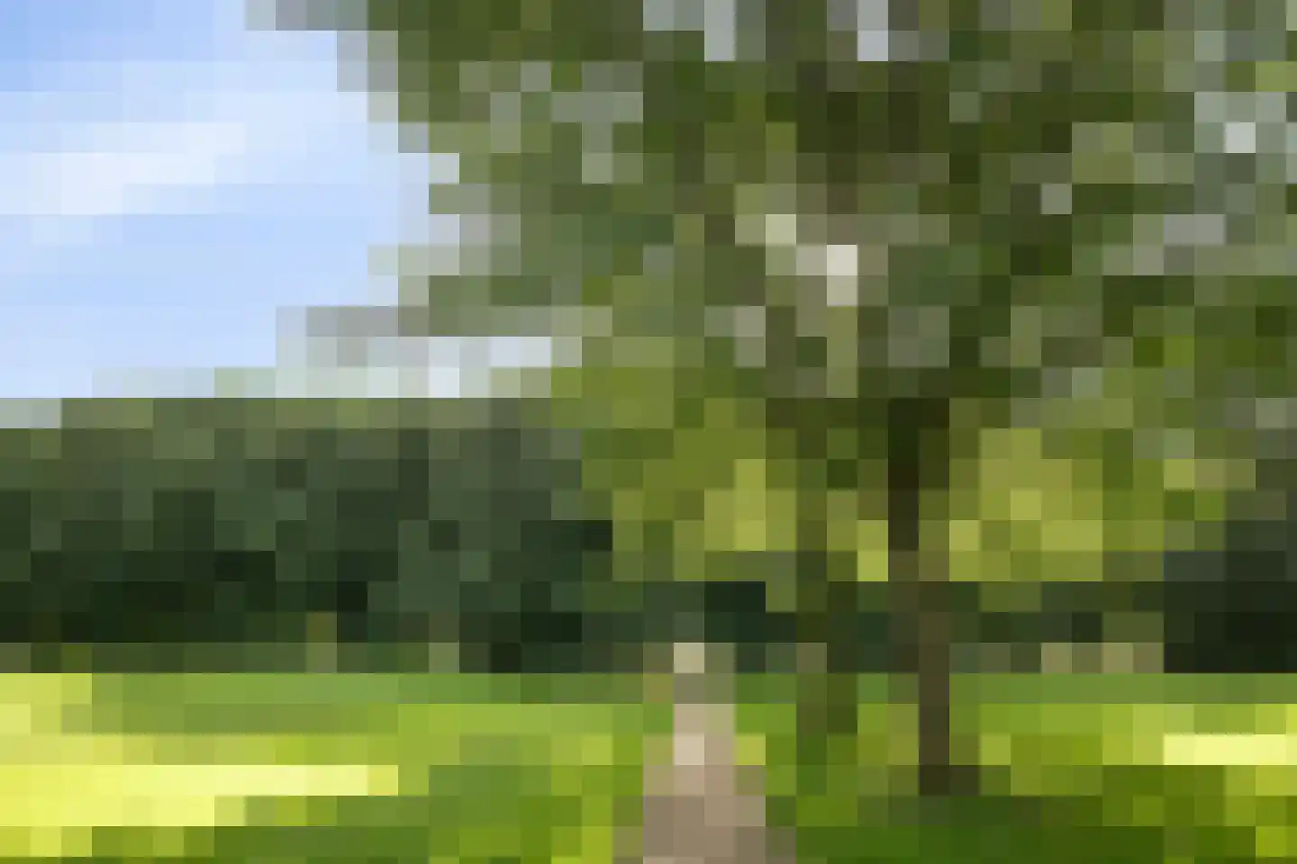 Beethovenlaan 616 Zwolle thumbnail 26