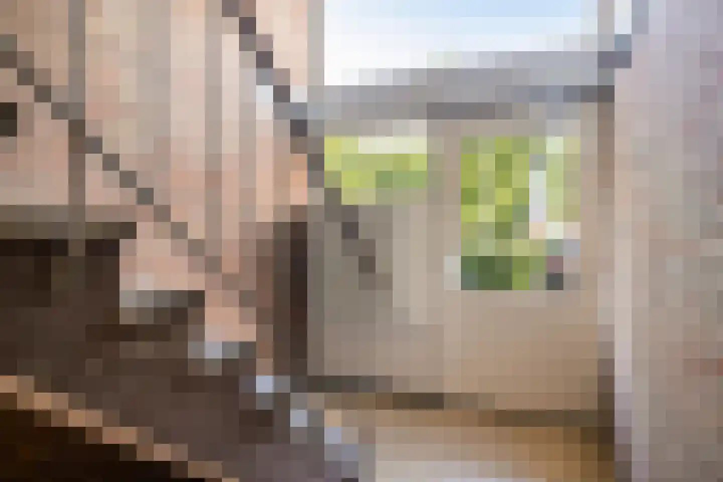Beethovenlaan 616 Zwolle thumbnail 4