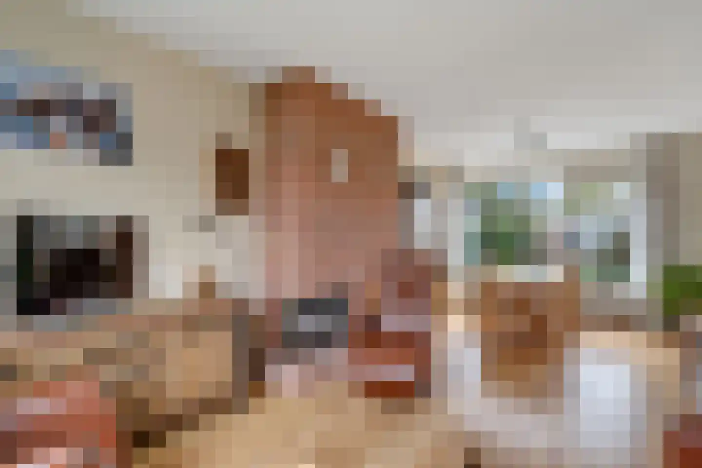 Beethovenlaan 62 Nijverdal thumbnail 5