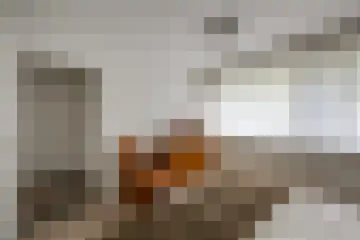 Beethovenlaan 63 Tilburg thumbnail 24