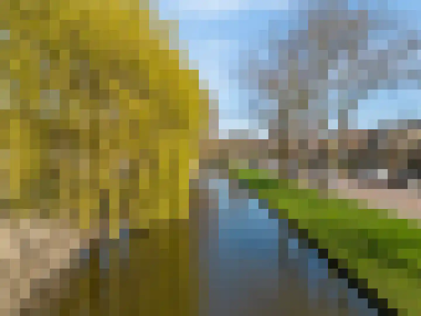 Beethovenlaan 64 Aalsmeer thumbnail 39