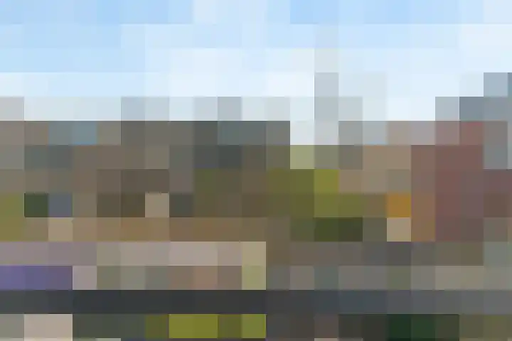 Beethovenlaan 64 Aalsmeer thumbnail 42