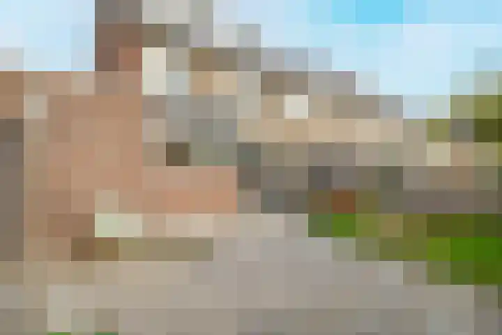 Beethovenlaan 64 Waddinxveen thumbnail 23