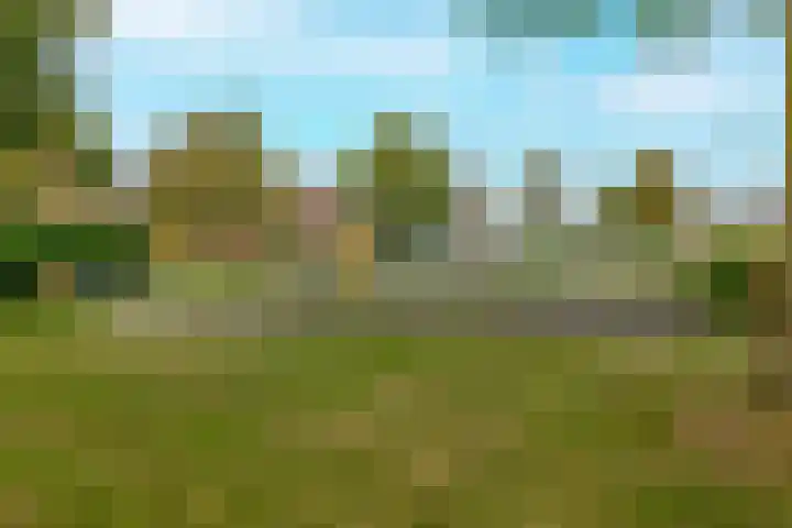 Beethovenlaan 64 Waddinxveen thumbnail 39