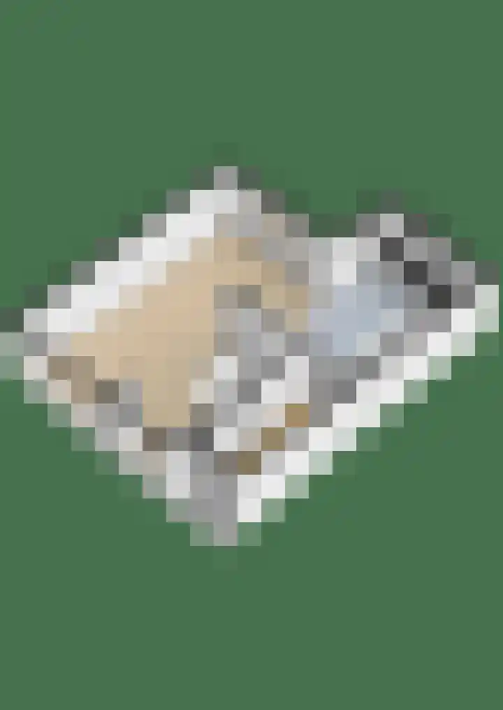 Beethovenlaan 64 Waddinxveen thumbnail 41