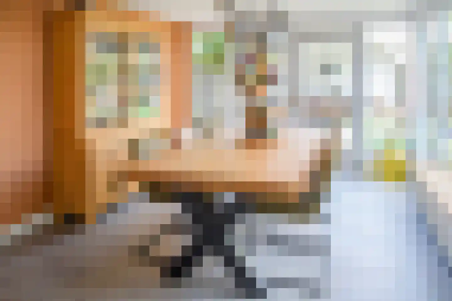 Beethovenlaan 66 Etten thumbnail 15