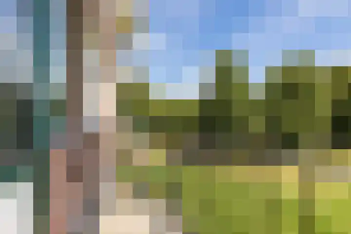 Beethovenlaan 672 Zwolle thumbnail 13