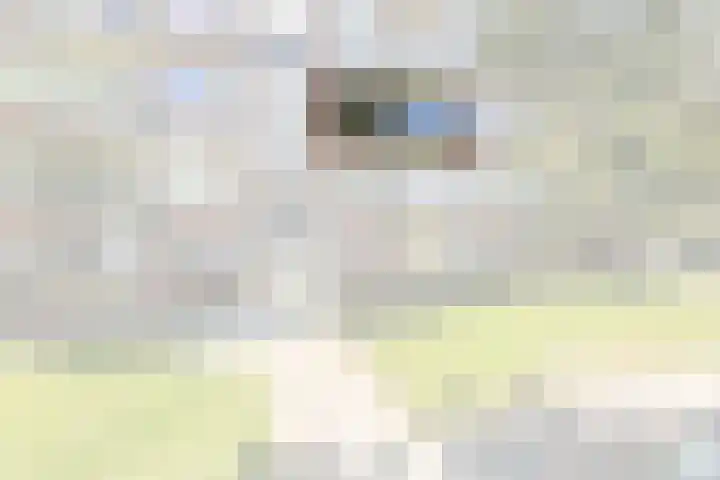 Beethovenlaan 672 Zwolle thumbnail 22