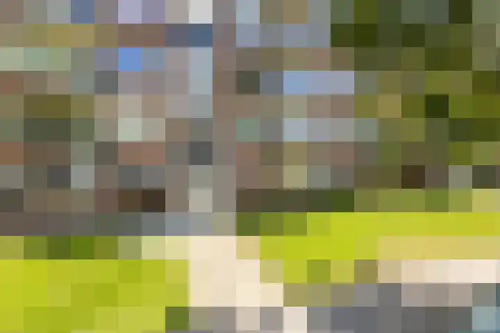 Beethovenlaan 672 Zwolle thumbnail 23