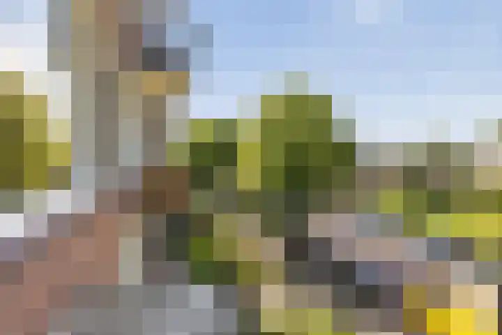 Beethovenlaan 672 Zwolle thumbnail 6
