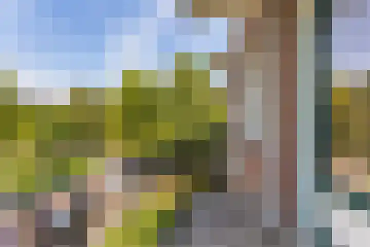 Beethovenlaan 672 Zwolle thumbnail 7