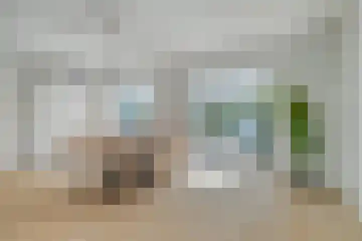 Beethovenlaan 68 Goes thumbnail 19