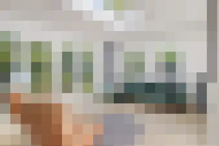Beethovenlaan 68 Goes thumbnail 21