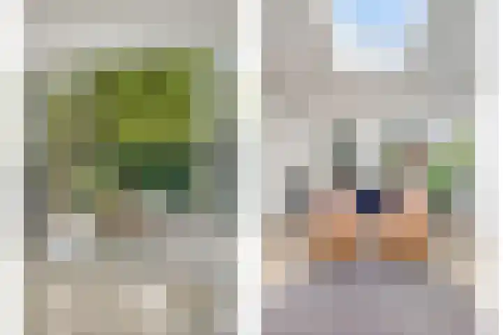 Beethovenlaan 68 Goes thumbnail 23