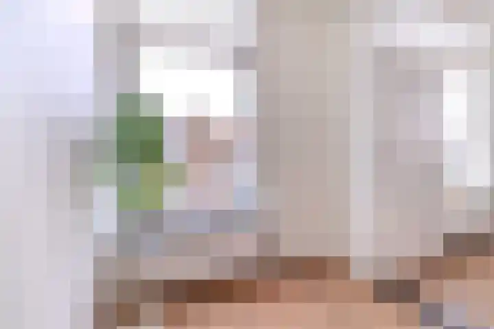 Beethovenlaan 68 Goes thumbnail 36