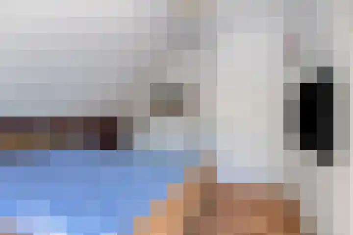 Beethovenlaan 68 Goes thumbnail 37