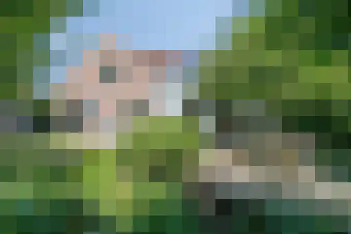 Beethovenlaan 68 Goes thumbnail 4