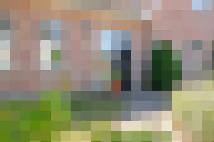 Beethovenlaan 68 Goes thumbnail 5