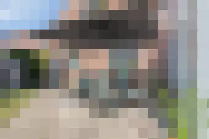 Beethovenlaan 68 Goes thumbnail 52