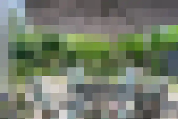 Beethovenlaan 68 Goes thumbnail 53