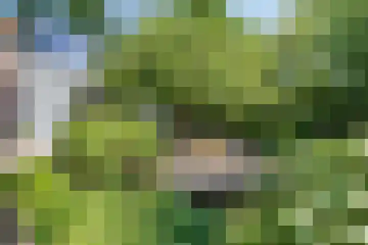 Beethovenlaan 68 Goes thumbnail 58