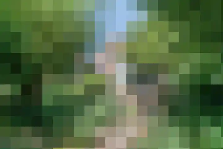 Beethovenlaan 68 Goes thumbnail 60