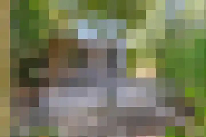Beethovenlaan 68 Goes thumbnail 70
