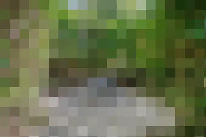Beethovenlaan 68 Goes thumbnail 71