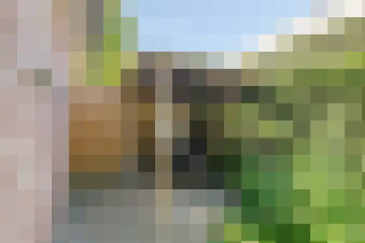 Beethovenlaan 68 Goes thumbnail 73