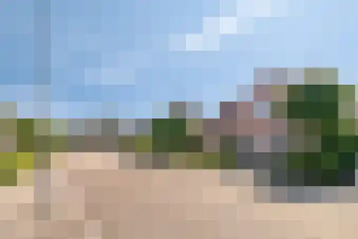 Beethovenlaan 68 Goes thumbnail 79