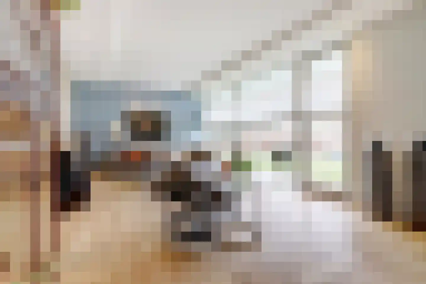 Beethovenlaan 7 Raamsdonksveer thumbnail 13