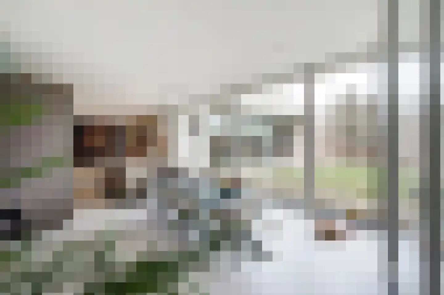 Beethovenlaan 7 Raamsdonksveer thumbnail 23