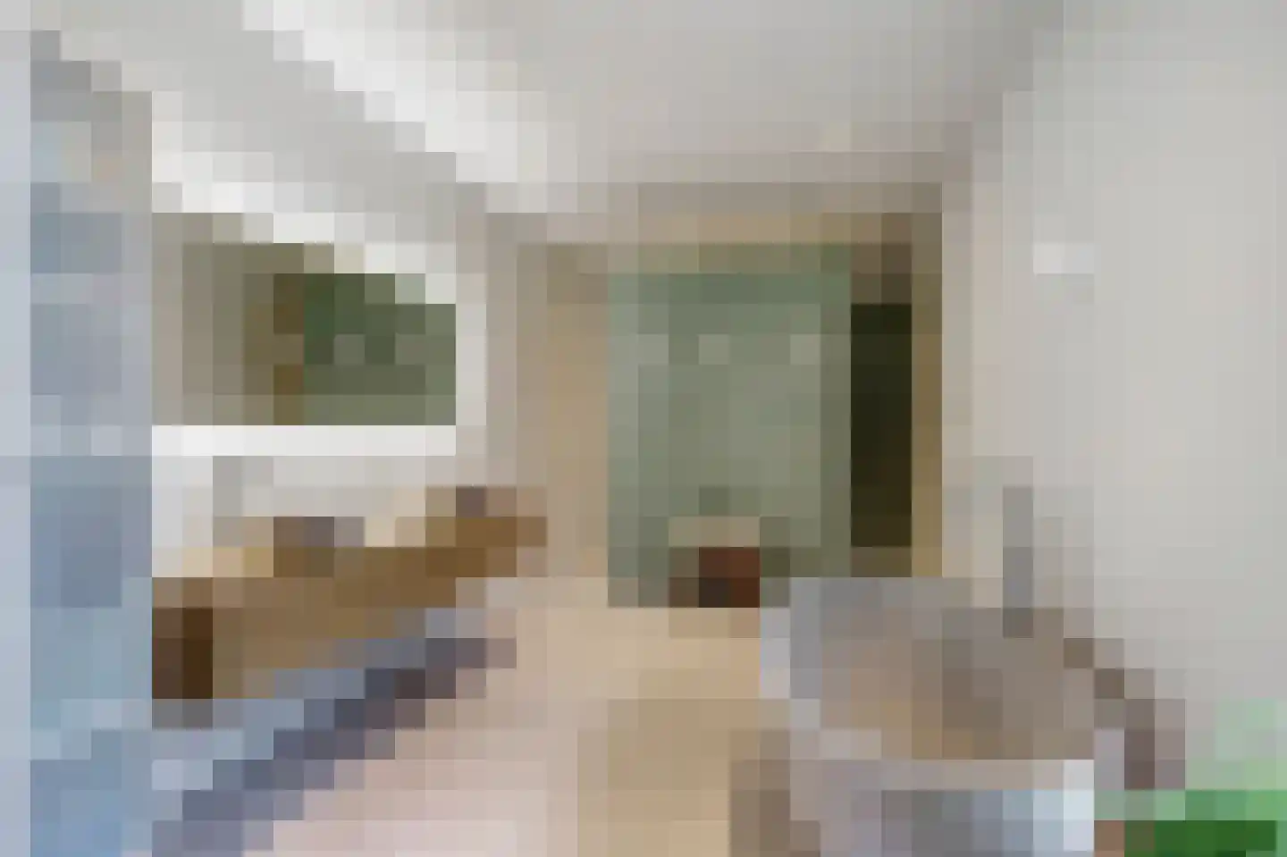 Beethovenlaan 7 Raamsdonksveer thumbnail 31