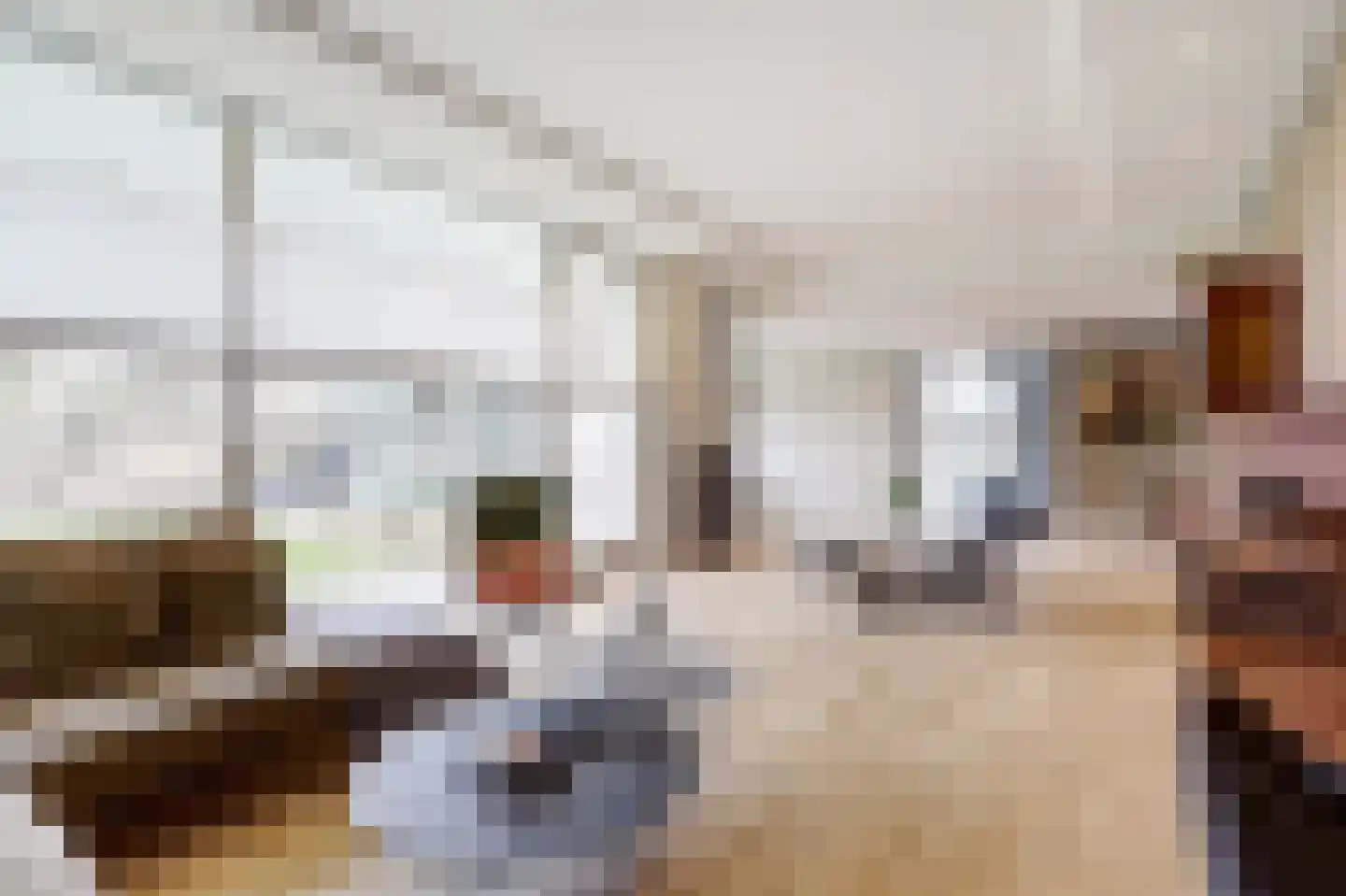 Beethovenlaan 7 Raamsdonksveer thumbnail 4
