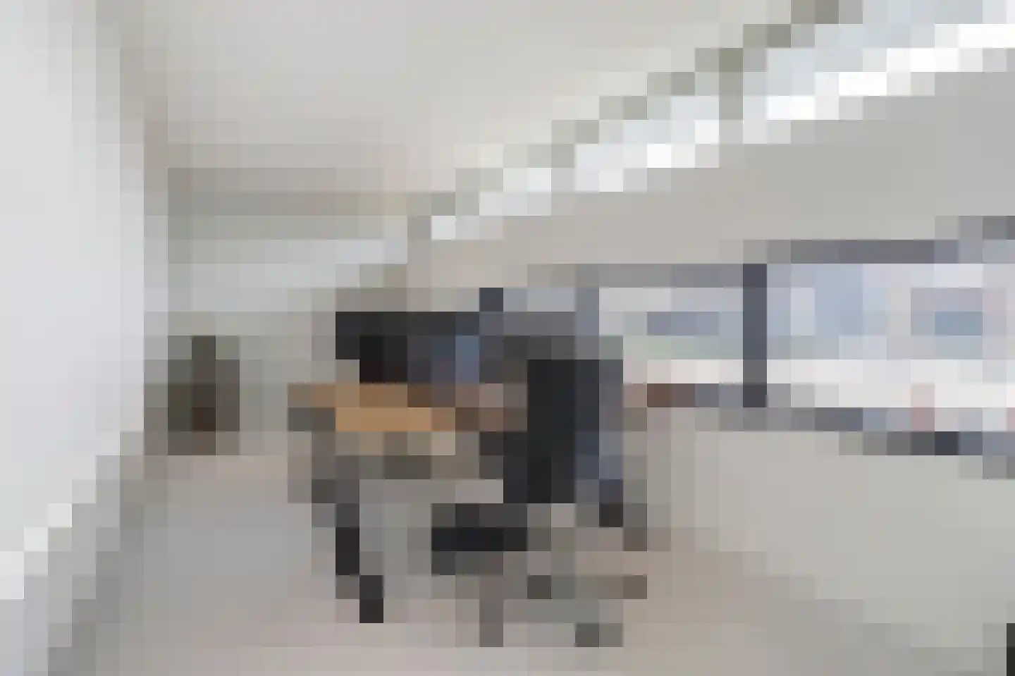 Beethovenlaan 7 Raamsdonksveer thumbnail 50