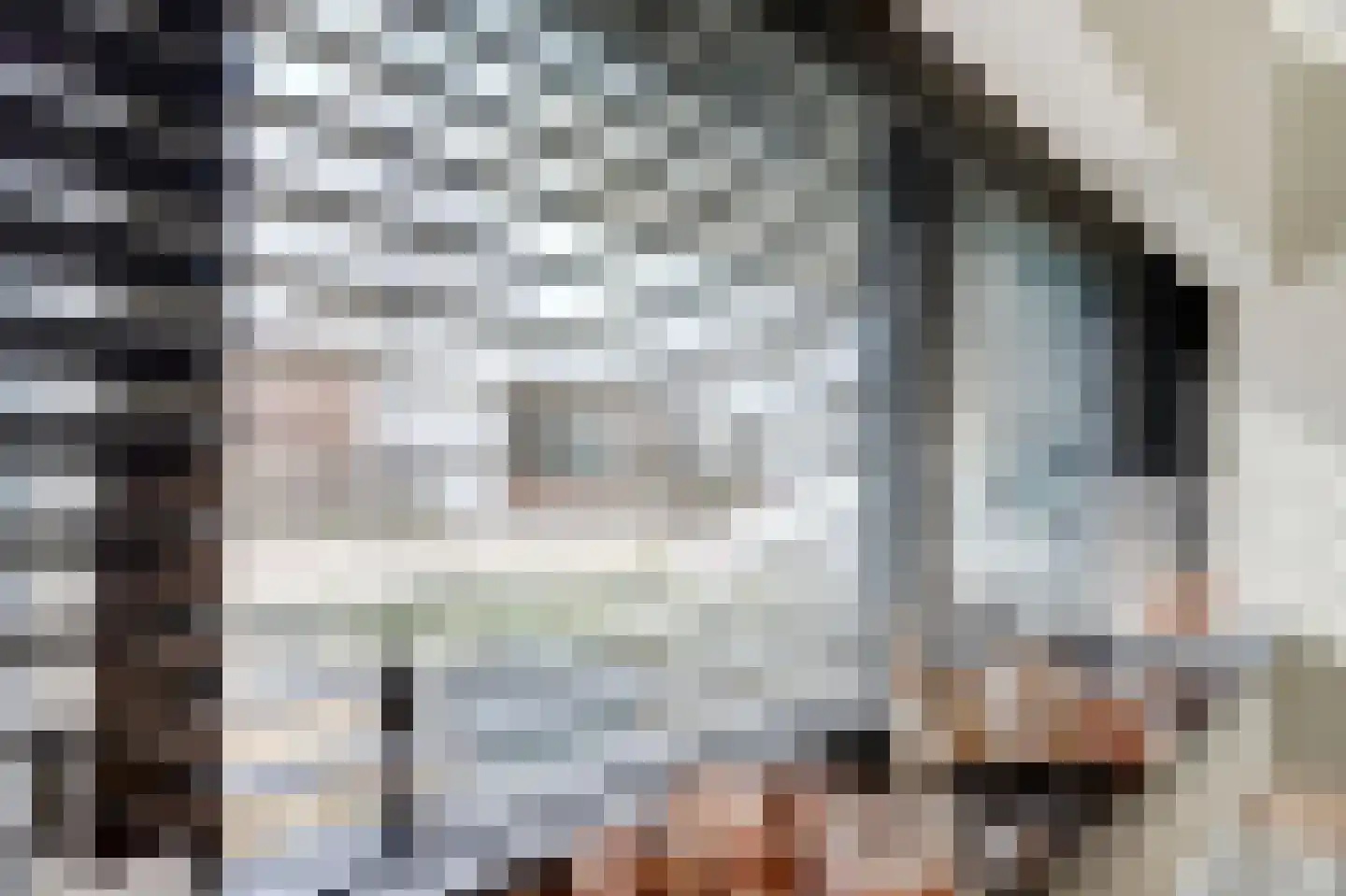 Beethovenlaan 7 Raamsdonksveer thumbnail 51
