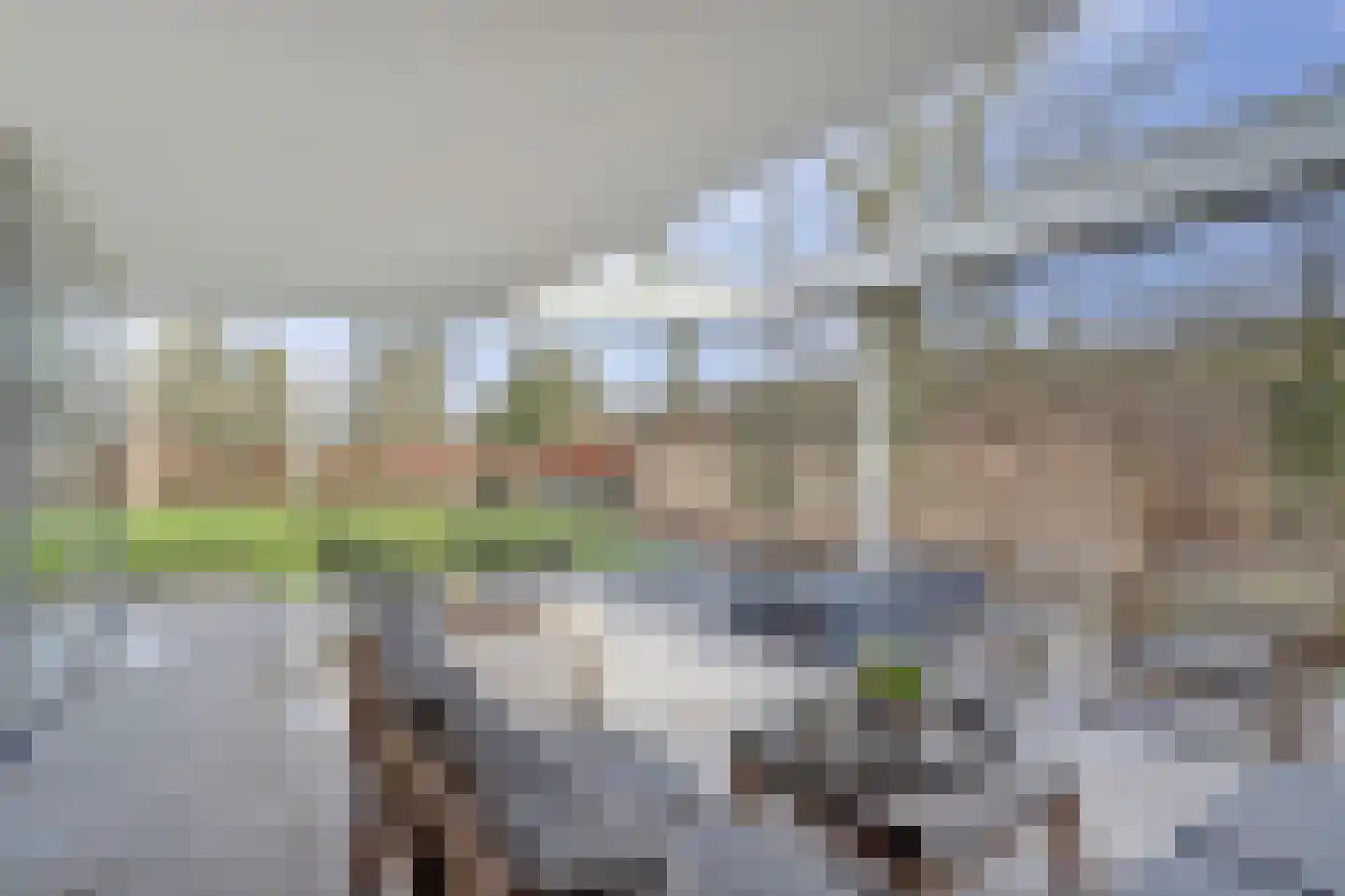 Beethovenlaan 7 Raamsdonksveer thumbnail 52