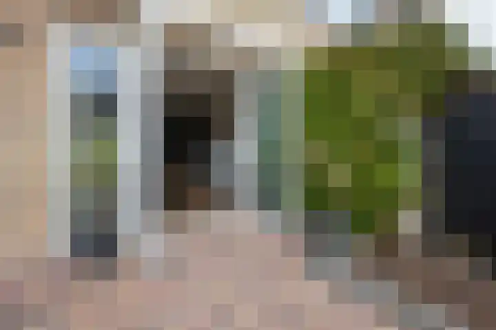 Beethovenlaan 70 Aalsmeer thumbnail 33