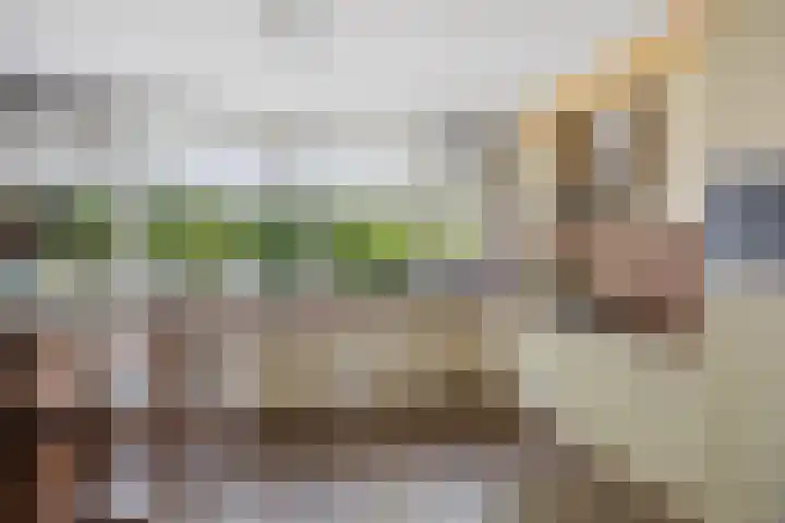 Beethovenlaan 70 Drunen thumbnail 18