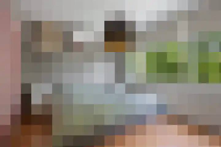 Beethovenlaan 70 Drunen thumbnail 24