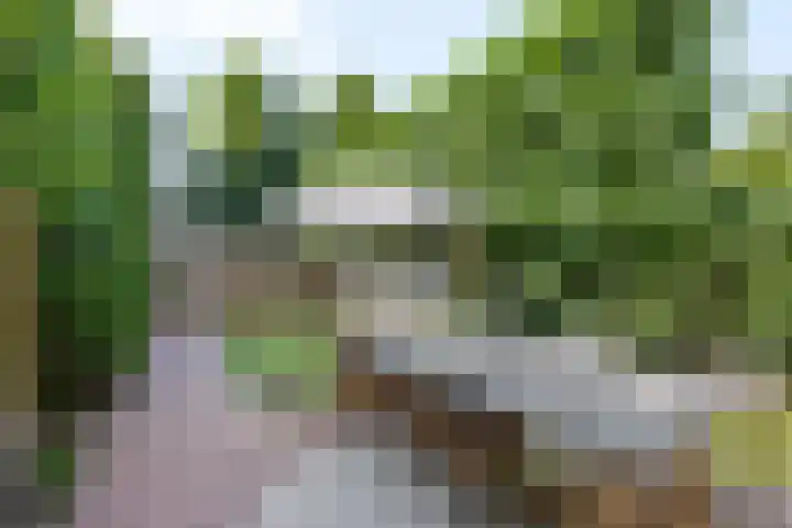 Beethovenlaan 70 Drunen thumbnail 34