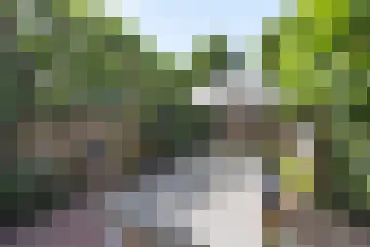 Beethovenlaan 70 Drunen thumbnail 35