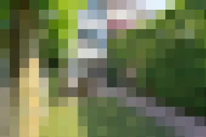 Beethovenlaan 70 Drunen thumbnail 36