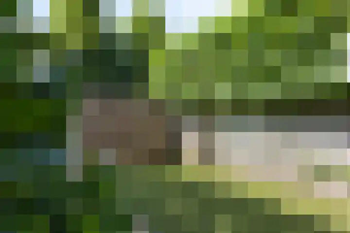 Beethovenlaan 70 Drunen thumbnail 37