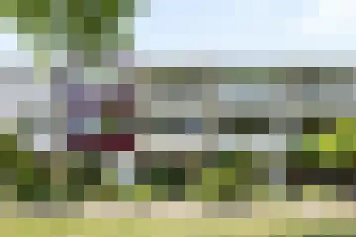 Beethovenlaan 70 Drunen thumbnail 39