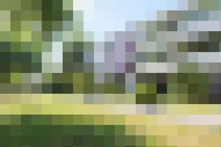 Beethovenlaan 70 Drunen thumbnail 40