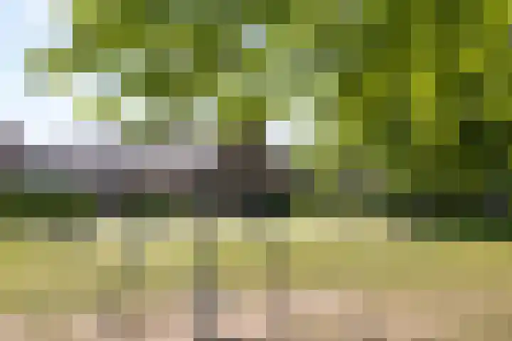 Beethovenlaan 70 Drunen thumbnail 42