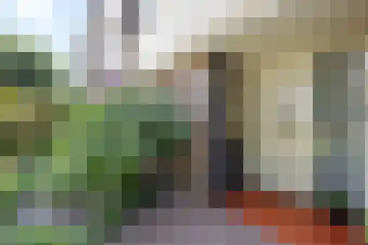 Beethovenlaan 70 Drunen thumbnail 5