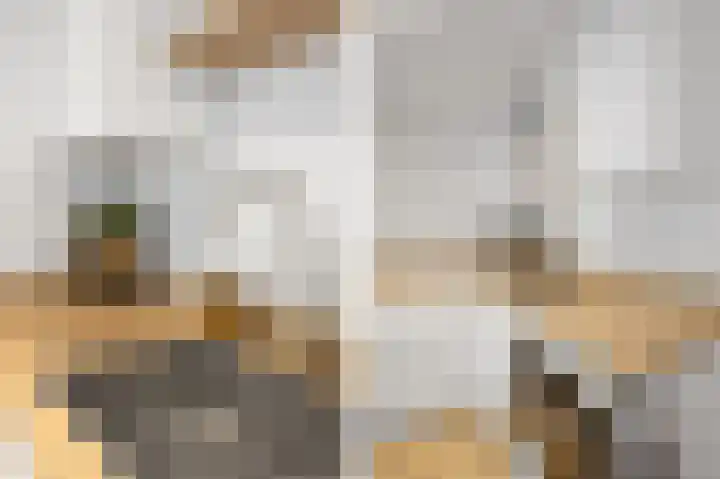 Beethovenlaan 70 Drunen thumbnail 9