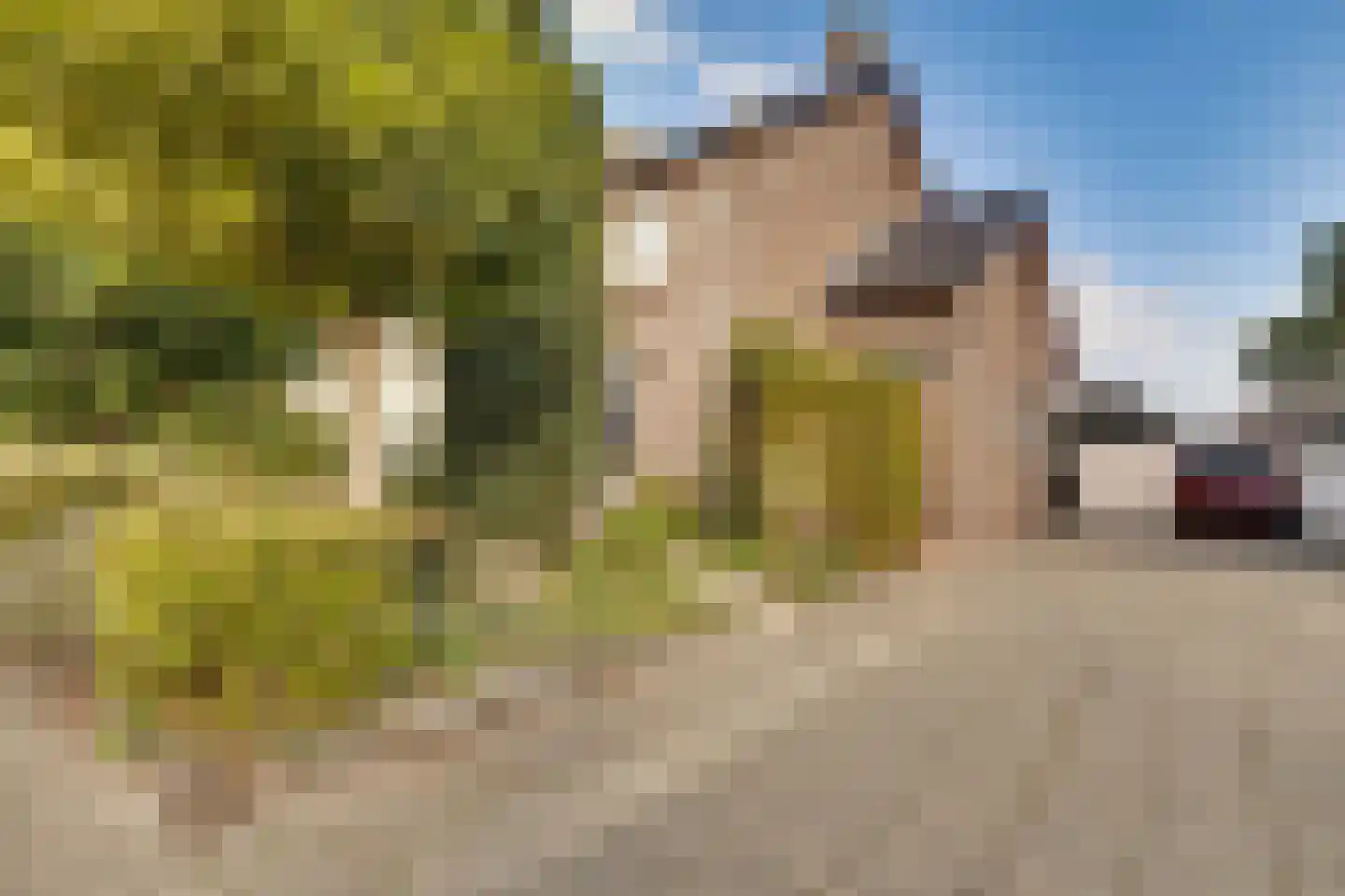 Beethovenlaan 71 Apeldoorn thumbnail 32